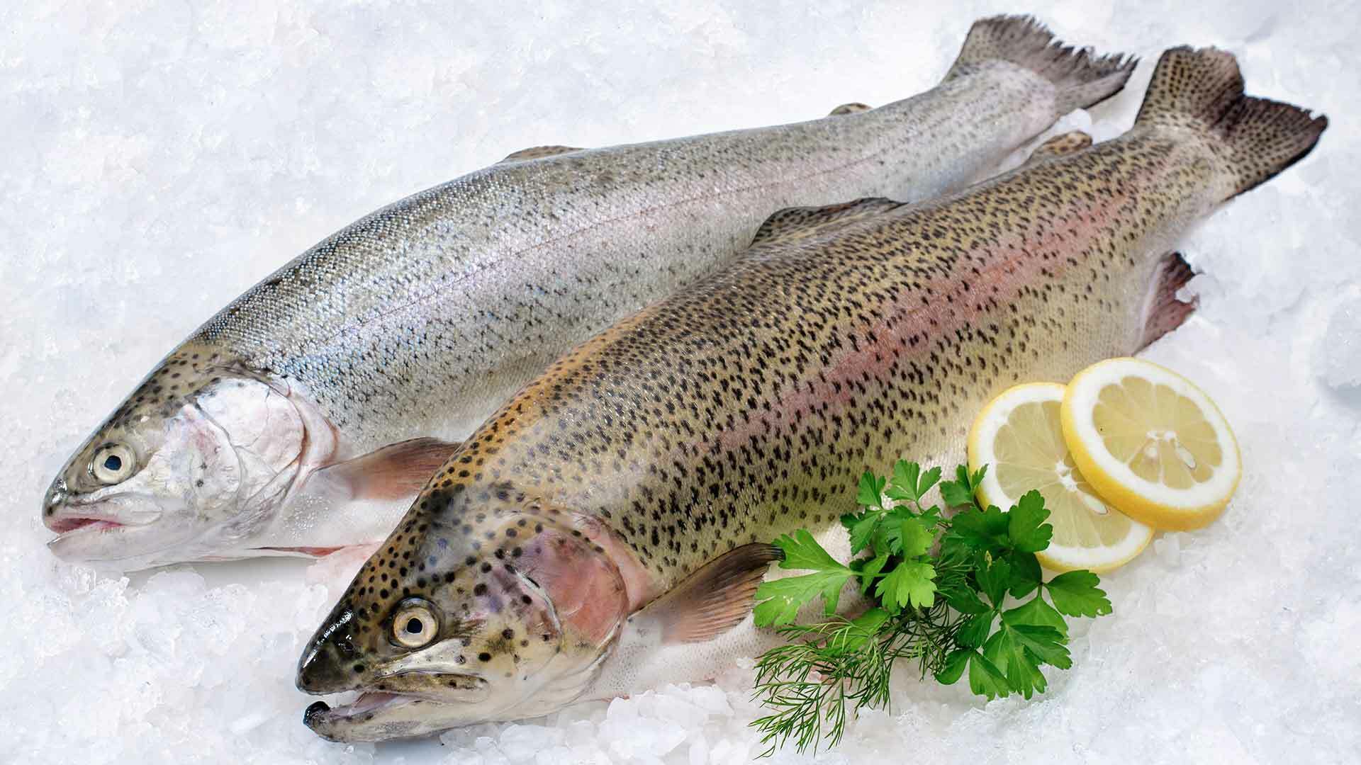 Блюда в Карелии из рыбы