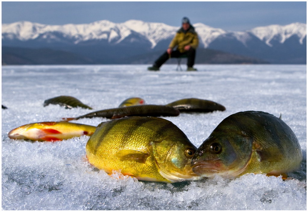 рыбалка на льду в домиках