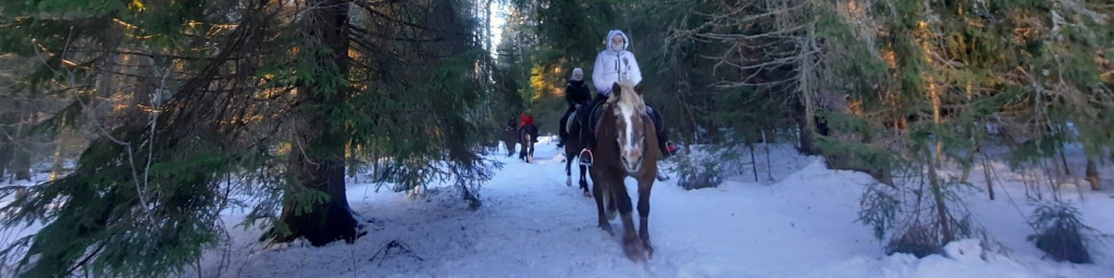 Tours around Karelia in winter